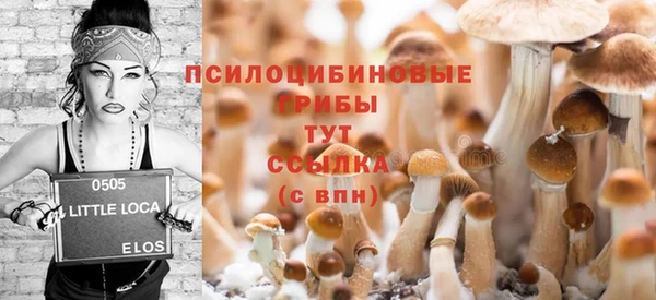 эйфоретик Зеленодольск