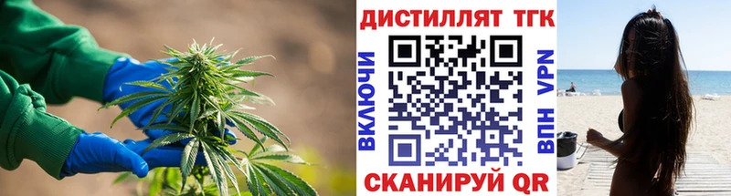 Купить закладки  Зея  Дистиллят ТГК концентрат 